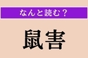 【難読漢字】「鼠害」正しい読み方は？ 文字通り、ネズミによる被害のことですの画像