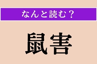 【難読漢字】「鼠害」正しい読み方は？ 文字通り、ネズミによる被害のことです