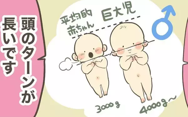 「頭のターンが長いから!? 巨大児だからまだ頭しか出てこない！」の画像