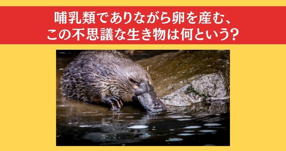 大人ならわかる？ 小学校の「理科」問題＜Vol.15＞