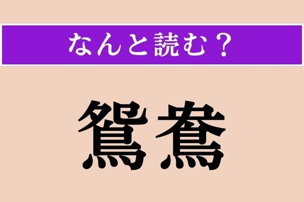 【難読漢字】「鴛鴦」正しい読み方は？ 仲の良い鳥です!?
