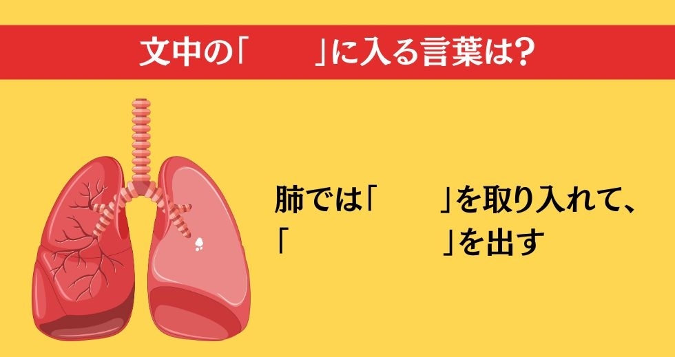 大人ならわかる？ 小学校の「理科」問題＜Vol.41＞