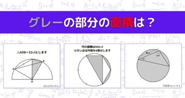 【図形問題 Vol.1619】グレーの部分の面積を求めよ！＜全3問＞