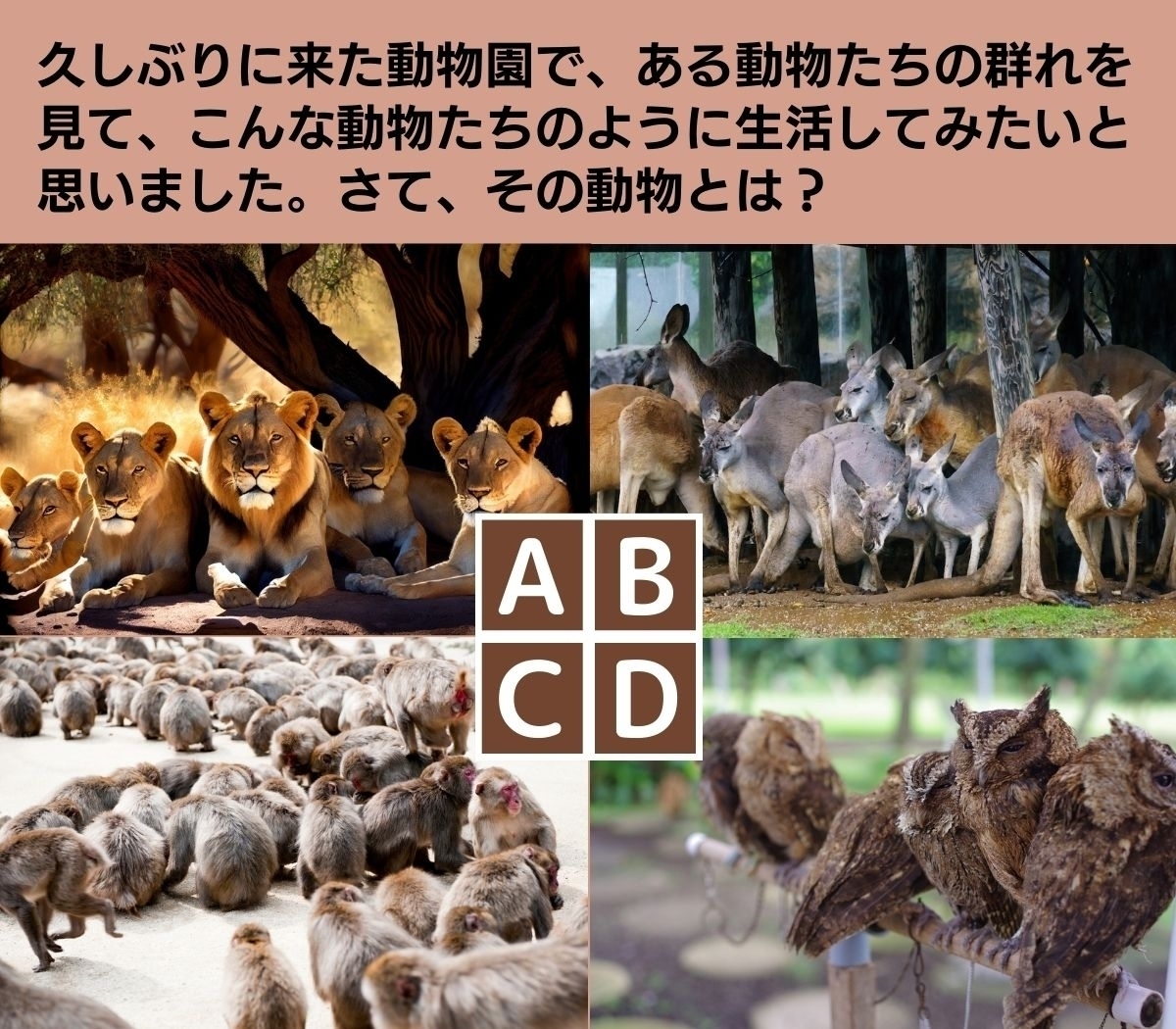 【心理テスト】あなたがもっとも理想とする親子関係は？ 親離れ・子離れ度チェック
