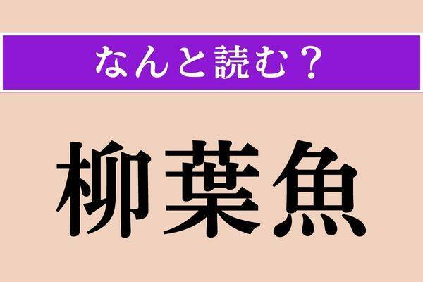 【難読漢字】「柳葉魚」正しい読み方は？ どの魚でしょうか？