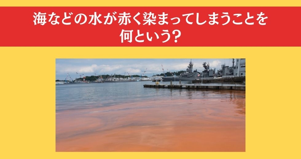 大人ならわかる？ 小学校の「理科」問題＜Vol.36＞
