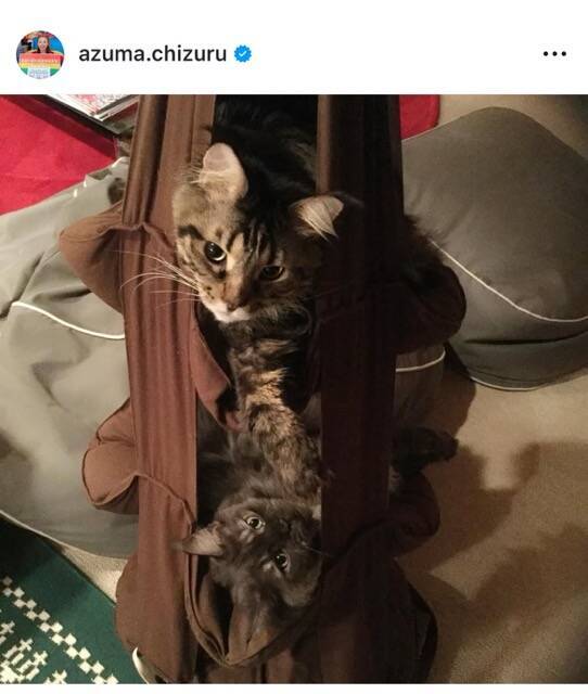 東ちづる、夫婦の日を前に30年の結婚生活を振り返る「分からないまま一緒にいる楽しさ」