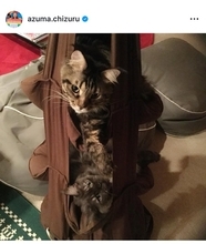 東ちづる、夫婦の日を前に30年の結婚生活を振り返る「分からないまま一緒にいる楽しさ」