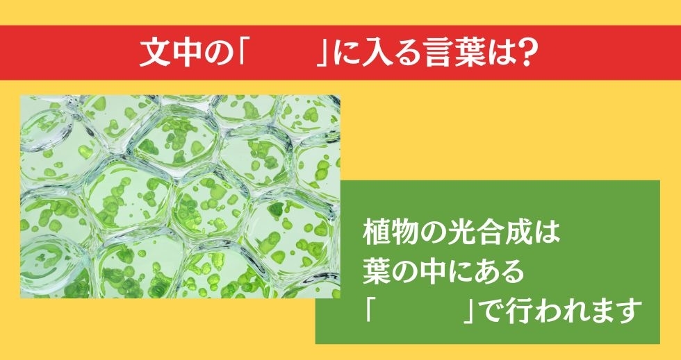 大人ならわかる？ 小学校の「理科」問題＜Vol.11＞