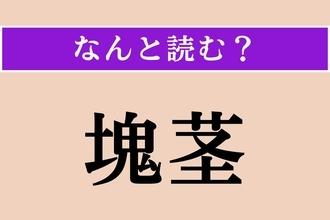 【難読漢字】「塊茎」正しい読み方は？ かたまりのくき!?