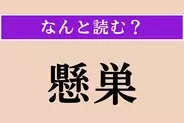 【難読漢字】「懸巣」正しい読み方は？ モノマネが得意な鳥です