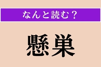 【難読漢字】「懸巣」正しい読み方は？ モノマネが得意な鳥です