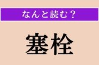 【難読漢字】「塞栓」正しい読み方は？「塞栓症」など、病気に関係する言葉です
