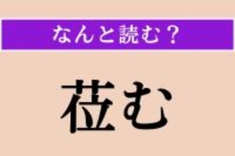 【難読漢字】「莅む」正しい読み方は？ 漢字検定1級の問題です