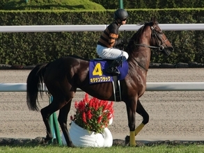 キタサンブラックの戦績・エピソードまとめ 北島三郎所有の名馬 産駒は2021年デビュー
