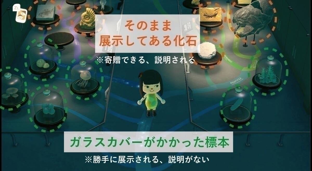 「あつ森」博物館は恐竜の最新学説に則った展示をしている？ かはくの研究員に聞いてみた