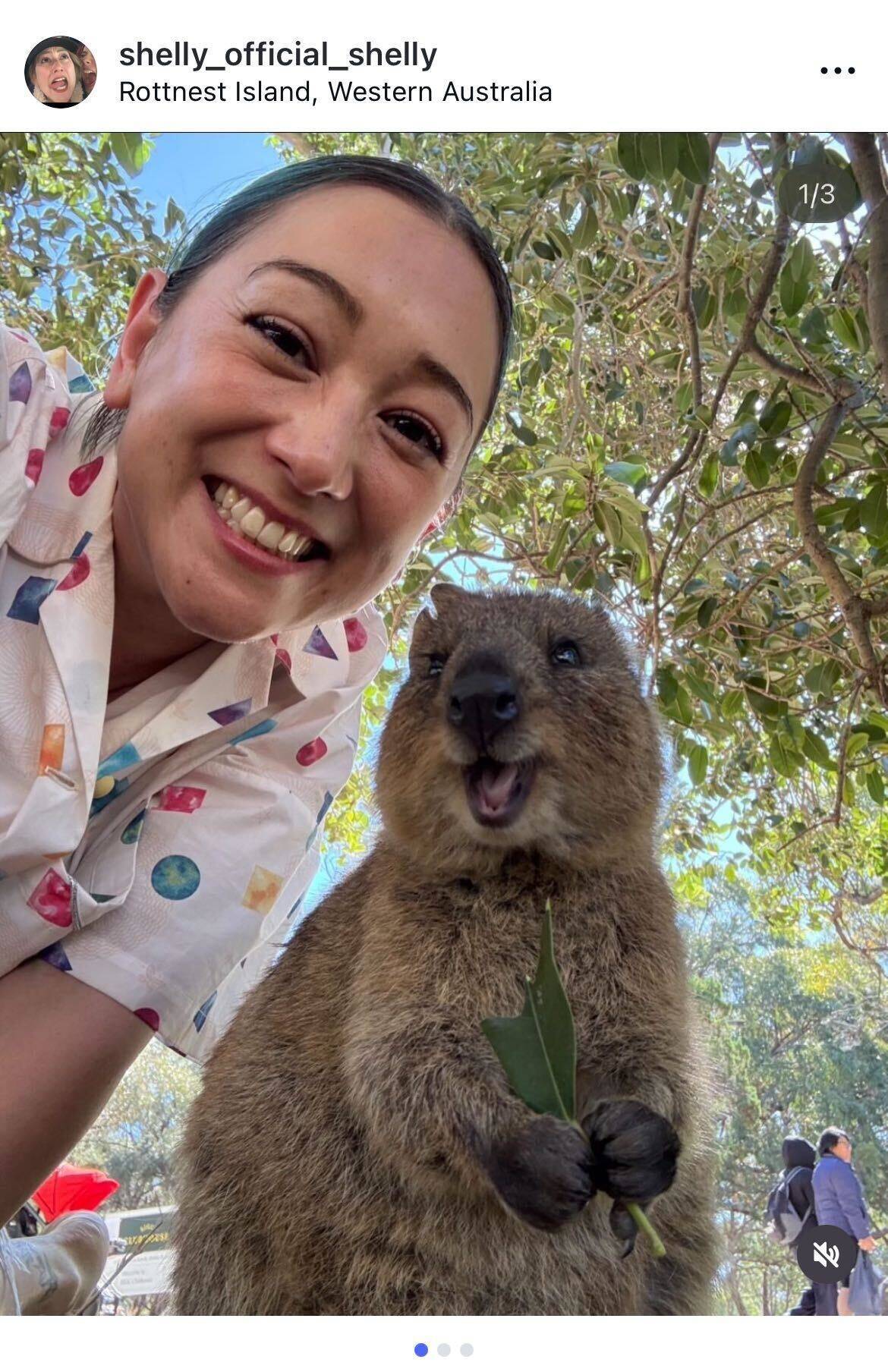 オーストラリア移住のSHELLYが近況報告　クオッカとのセルフィー添え「ワクワクと感動がありまくり」