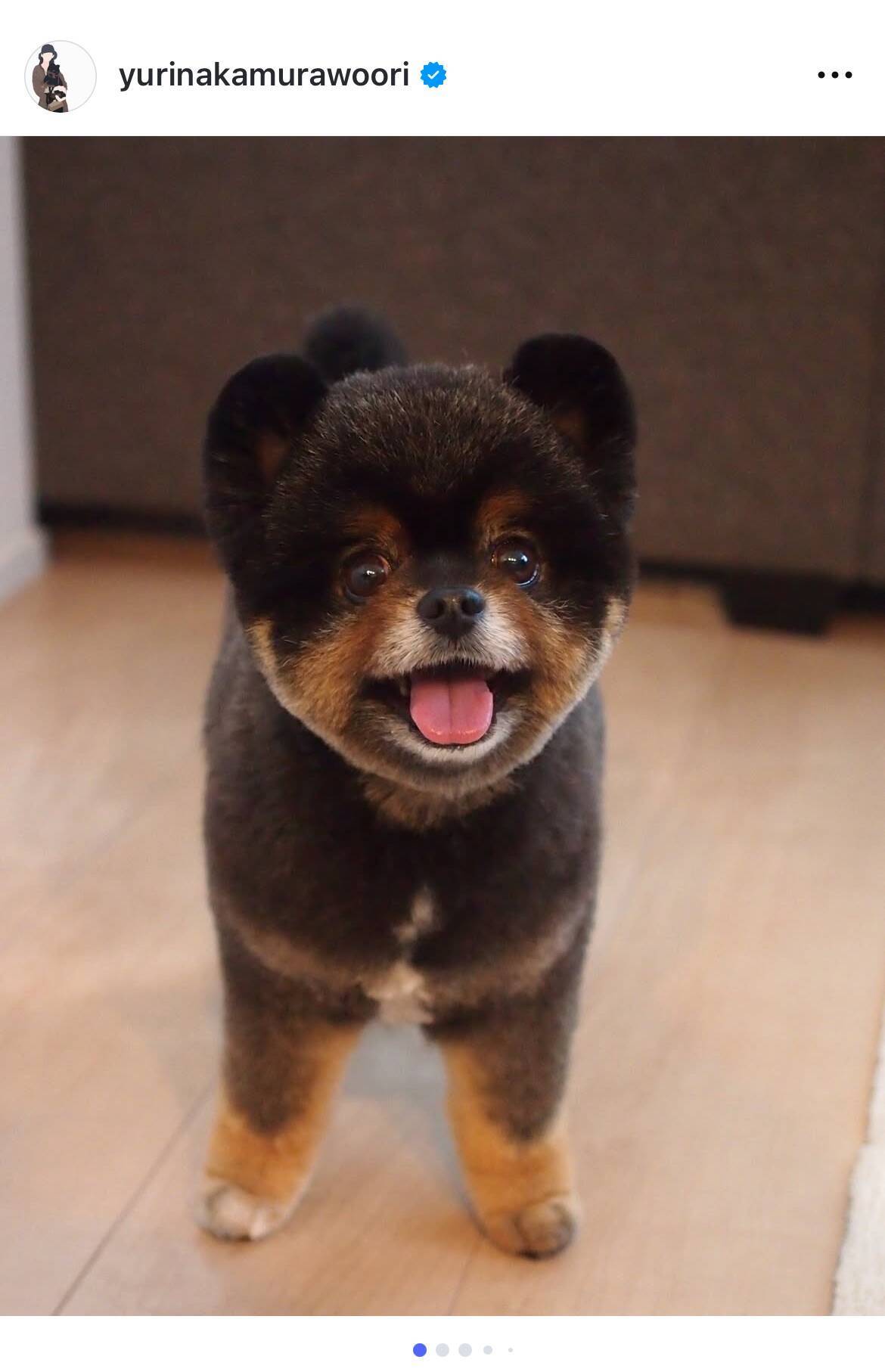 女優・中村ゆり、愛犬の死から1年「時間薬が癒してくれると願う」