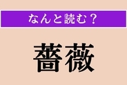 【難読漢字】「薔薇」正しい読み方は？「ばら」ではない読み方わかる？