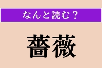 【難読漢字】「薔薇」正しい読み方は？「ばら」ではない読み方わかる？