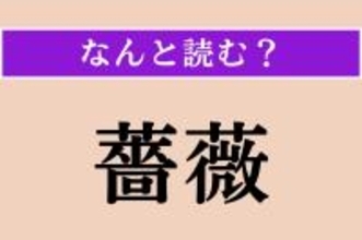 【難読漢字】「薔薇」正しい読み方は？「ばら」ではない読み方わかる？
