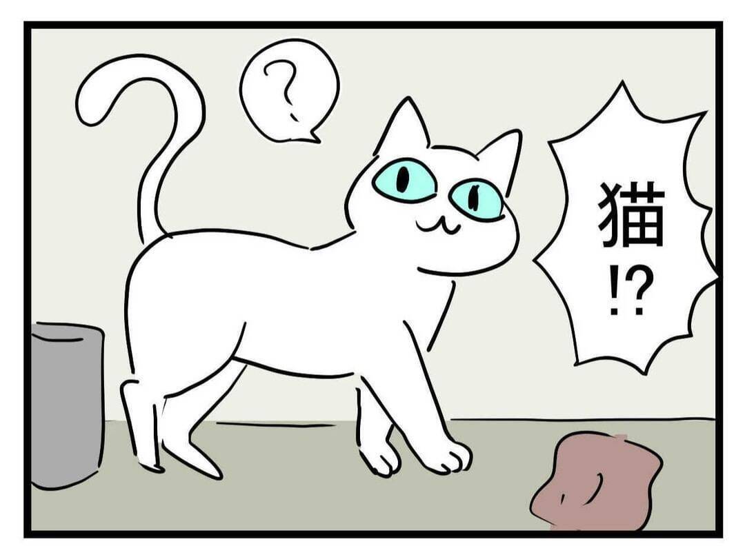 【漫画】ちょっとした猫屋敷の義実家…だが「それだけじゃない」？【恐怖の義実家1泊2日 Vol.4】