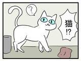 「【漫画】ちょっとした猫屋敷の義実家…だが「それだけじゃない」？【恐怖の義実家1泊2日 Vol.4】」の画像1
