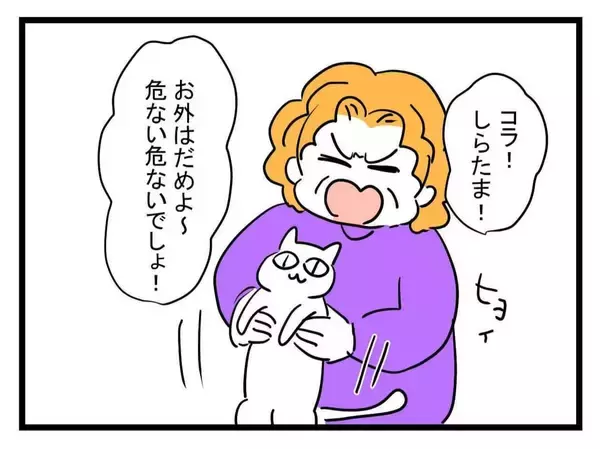 「【漫画】ちょっとした猫屋敷の義実家…だが「それだけじゃない」？【恐怖の義実家1泊2日 Vol.4】」の画像