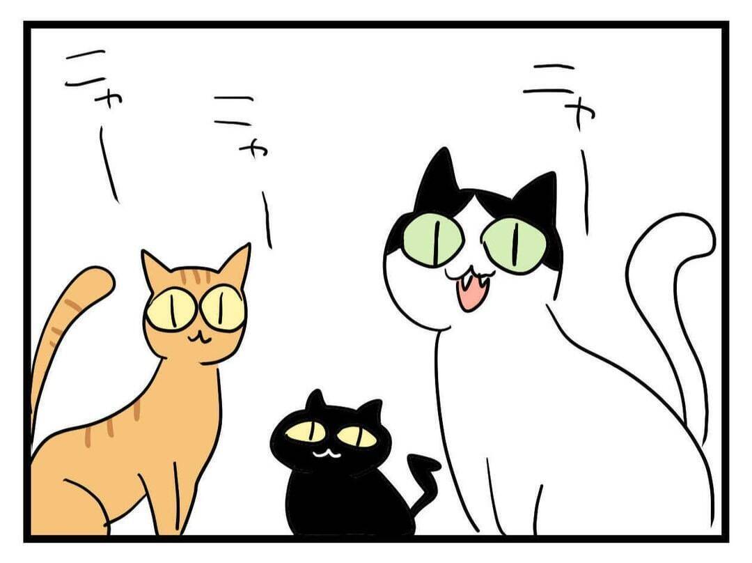 【漫画】ちょっとした猫屋敷の義実家…だが「それだけじゃない」？【恐怖の義実家1泊2日 Vol.4】