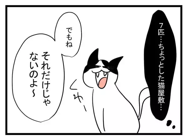 「【漫画】ちょっとした猫屋敷の義実家…だが「それだけじゃない」？【恐怖の義実家1泊2日 Vol.4】」の画像