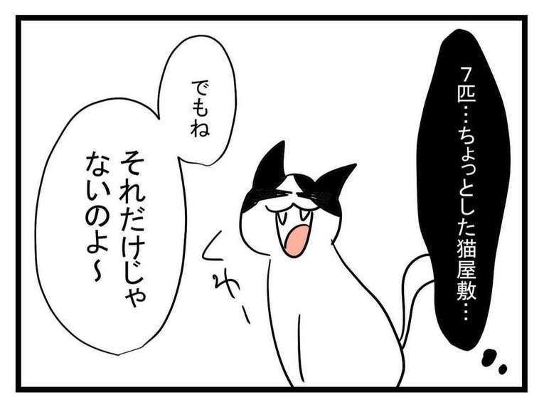 【漫画】ちょっとした猫屋敷の義実家…だが「それだけじゃない」？【恐怖の義実家1泊2日 Vol.4】