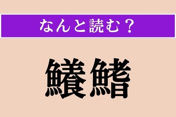 【難読漢字】「鱶鰭」正しい読み方は？ 「魚へん」ですが、魚そのものの種類ではありません