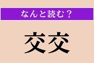 【難読漢字】「交交」正しい読み方は？「かわるがわる」という意味です