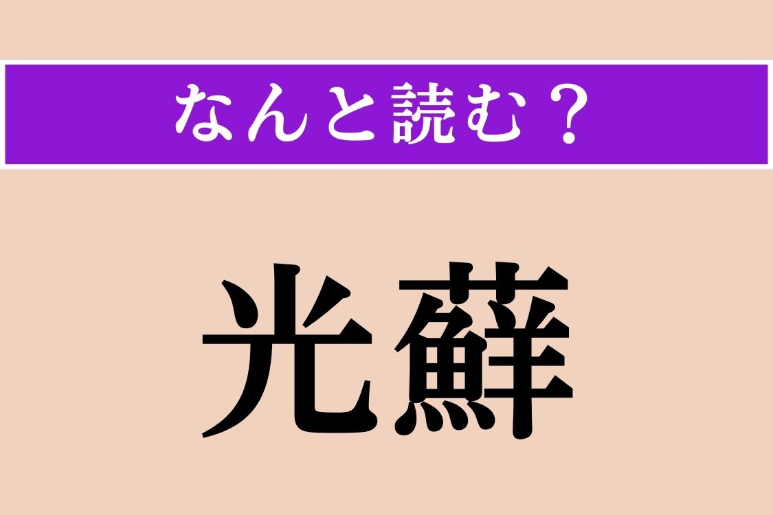 【難読漢字】「光蘚」正しい読み方は？ じめじめした場所に育ちます
