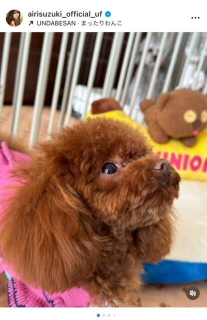 鈴木愛理、新しい家族が増えたことを報告　「女は愛嬌よ!!」と伝授