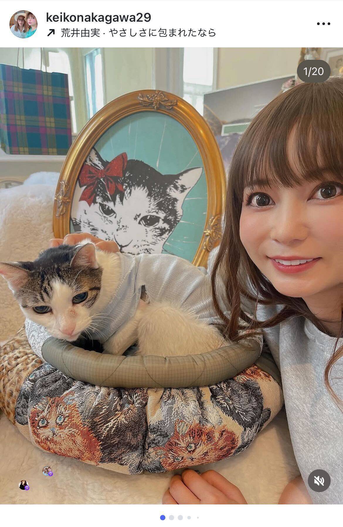 心停止からの生還、18歳で奇跡の回復　中川翔子の母・桂子が“ミラクルキャット”らい次郎について投稿