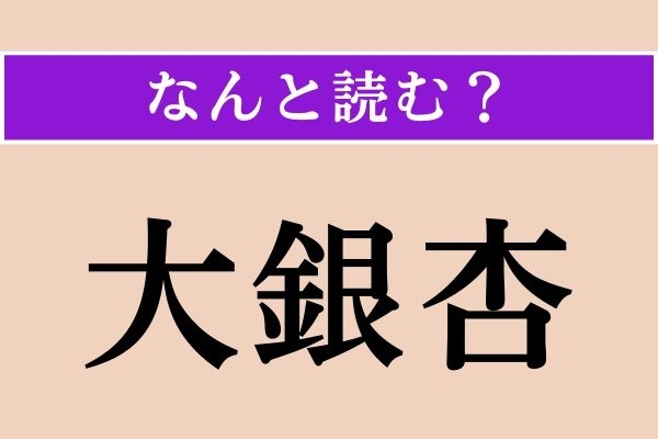 【難読漢字】「大銀杏」正しい読み方は？「大きな銀杏」のことではありません