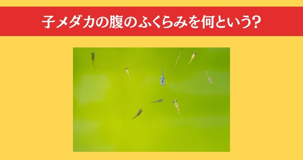 大人ならわかる？ 小学校の「理科」問題＜Vol.77＞