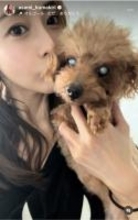 熊切あさ美、愛犬ここちゃんとの別れを報告「14歳と10ヶ月まだまだ一緒にいれると思っていた」