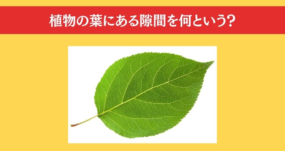 大人ならわかる？ 小学校の「理科」問題＜Vol.88＞