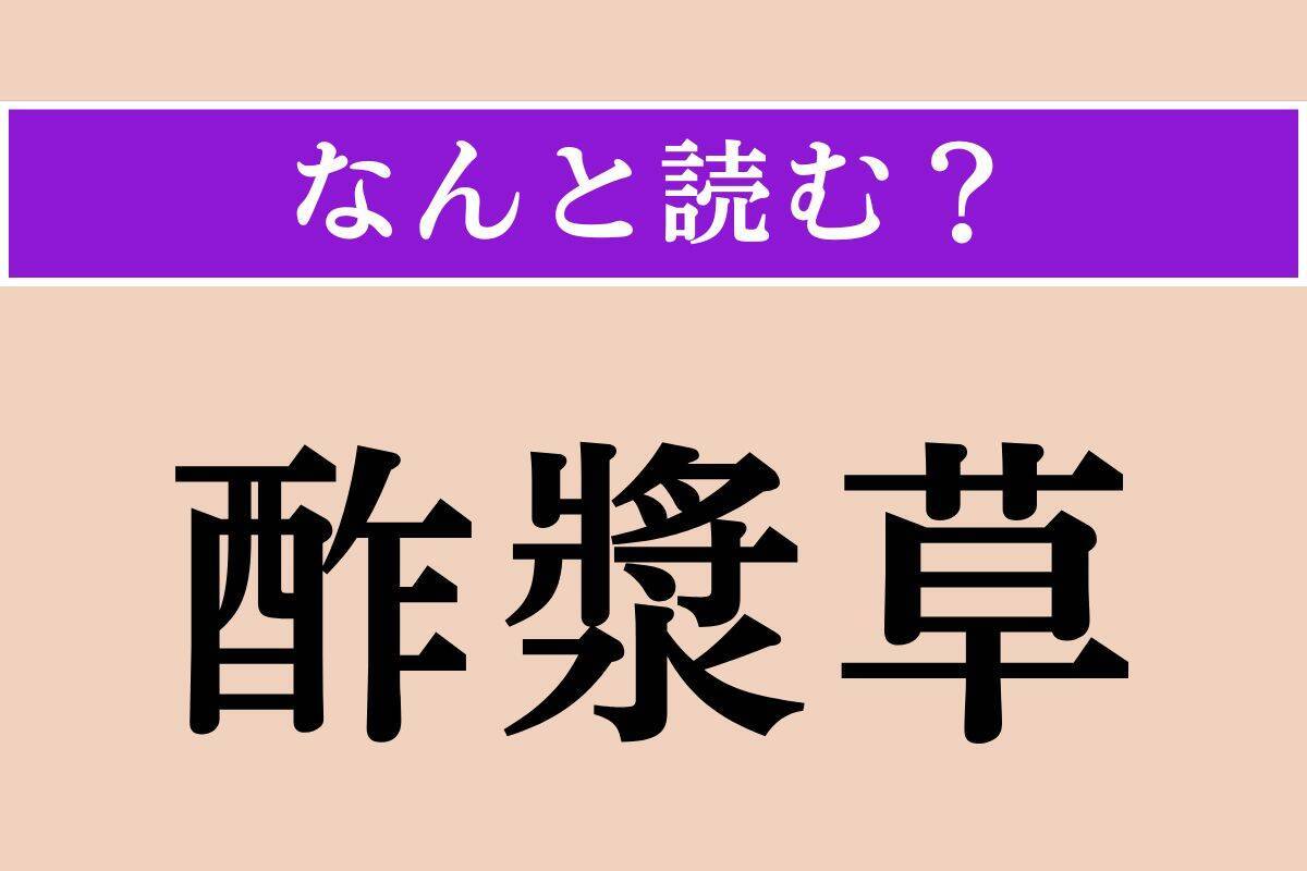 【難読漢字】「塞栓」「酢漿草」「鞍上」読める？
