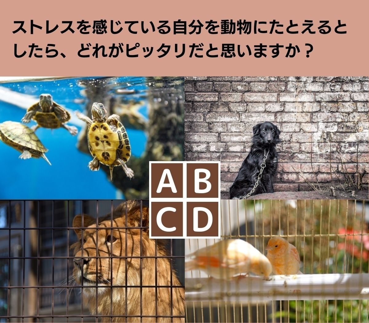 【心理テスト】あなたのストレスの原因を探ります