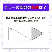 【図形問題】グレーの部分の面積を求めよ！＜Vol.725＞