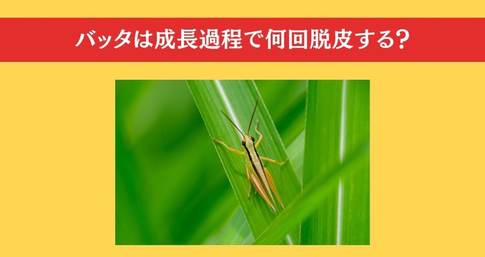 大人ならわかる？ 小学校の「理科」問題＜Vol.75＞