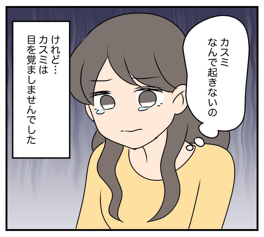 【漫画】歩道橋から転落したカスミは命を取り留めた…でも…【夫と義家族に無視される私 Vol.83】