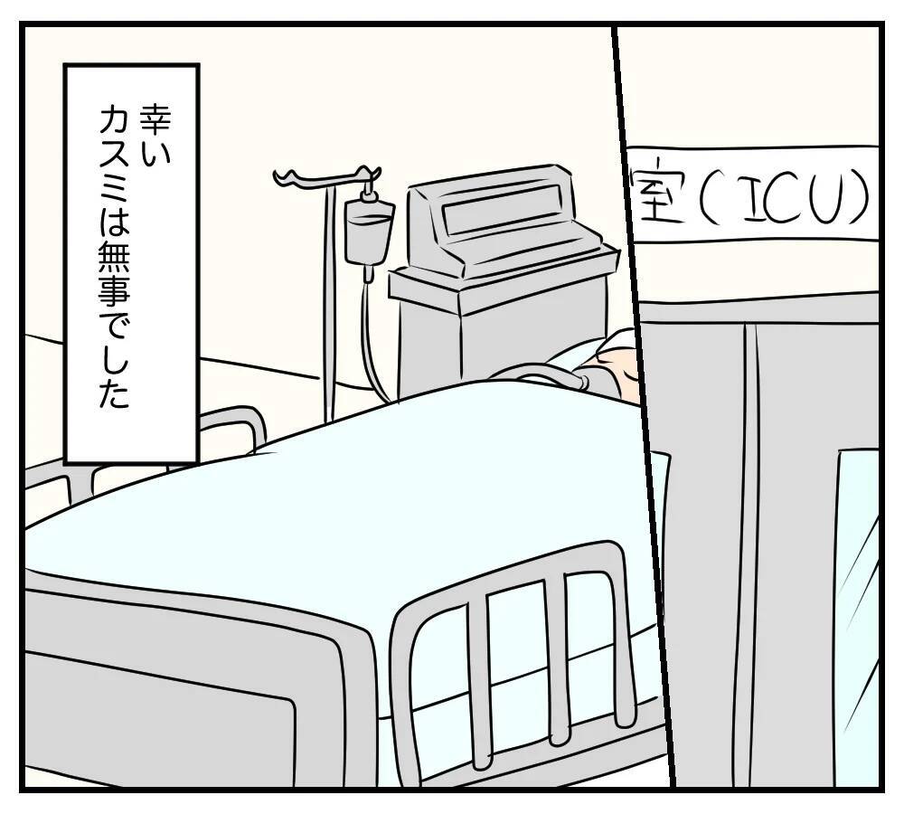 【漫画】歩道橋から転落したカスミは命を取り留めた…でも…【夫と義家族に無視される私 Vol.83】
