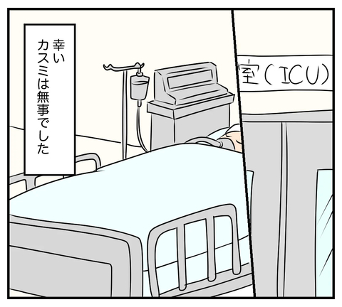 【漫画】歩道橋から転落したカスミは命を取り留めた…でも…【夫と義家族に無視される私 Vol.83】の画像