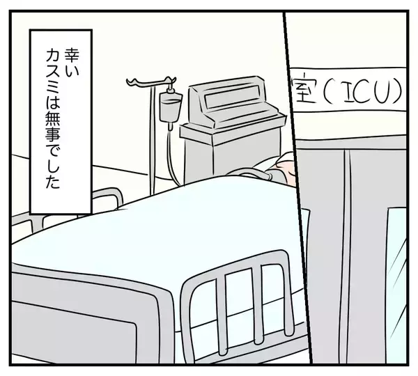 「【漫画】歩道橋から転落したカスミは命を取り留めた…でも…【夫と義家族に無視される私 Vol.83】」の画像