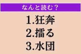 【難読漢字】「狂奔」「擂る」「水団」読める？