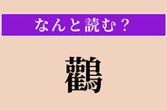 【難読漢字】「鸛」正しい読み方は？ 赤ちゃんを運んでくるという言い伝えがある鳥です